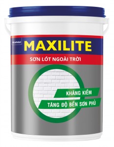 Maxilite-2015-Sonlot (1)