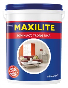 Maxilite-2015-Trongnha